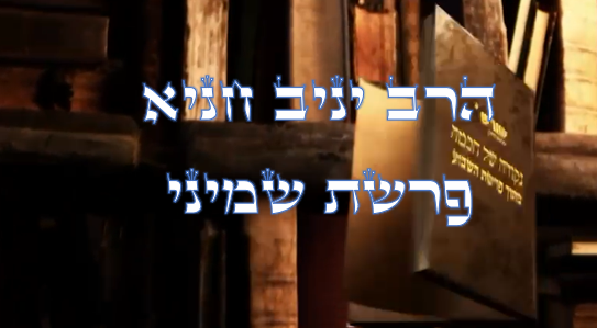 נקודה של חכמה מפרשת השבוע- שמיני